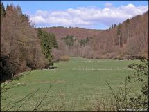 5 Blick ins Waldwiesental